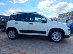 FIAT Panda Cold 1.0